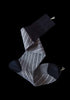 Barber Stripe OTC
